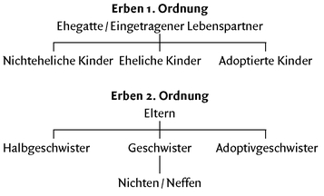 erbfolge ohne testament geschwister