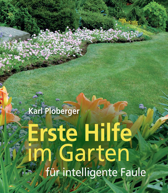 cover cover