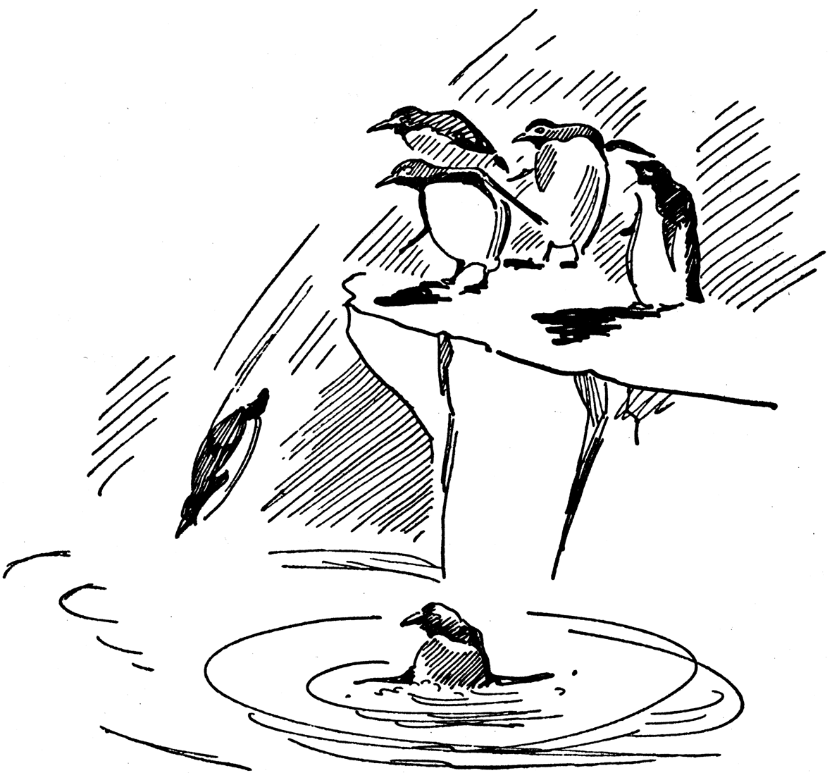img4.png
