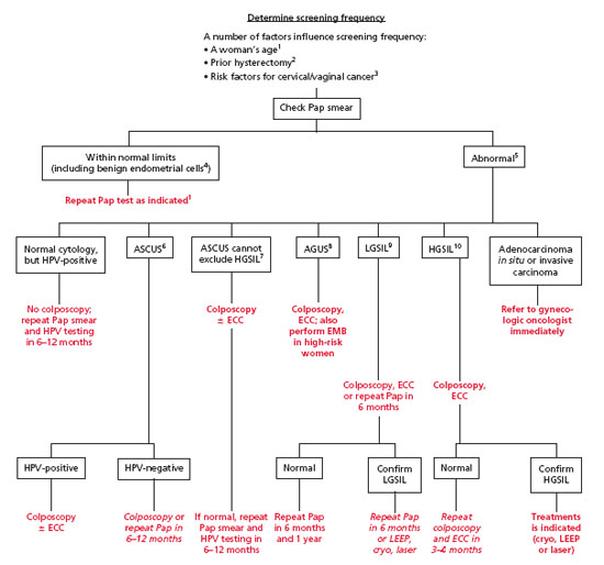 Acog Pap Guidelines 2019 Algorithm carfare.me 20192020