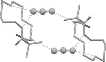 read Nonsense mutation correction in human diseases :