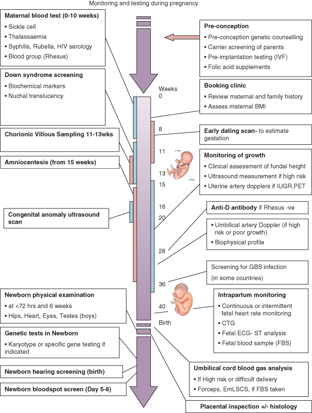 pregnant after 2 months of dating new charts for ultrasound dating of pregnancy and assessment of fetal growth