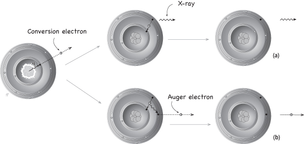 epub analysis of