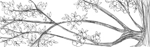 Fig1