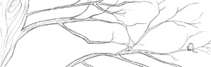 Fig5
