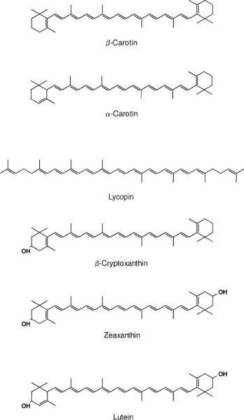 The Thermal Decomposition of Nitrogen Pentoxide at Low