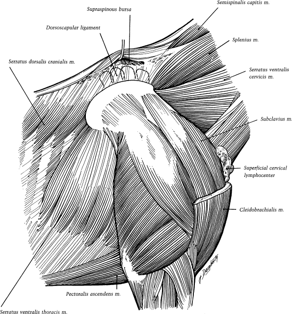 view glue