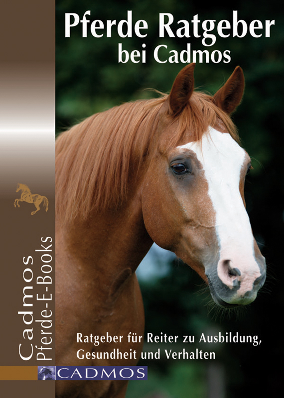 NEU Anne-Katrin Hagen Pferde richtig ausbilden Cadmos Verlag