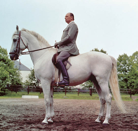 Halter Ego Celebrity Double Bridle – The Horse of Course