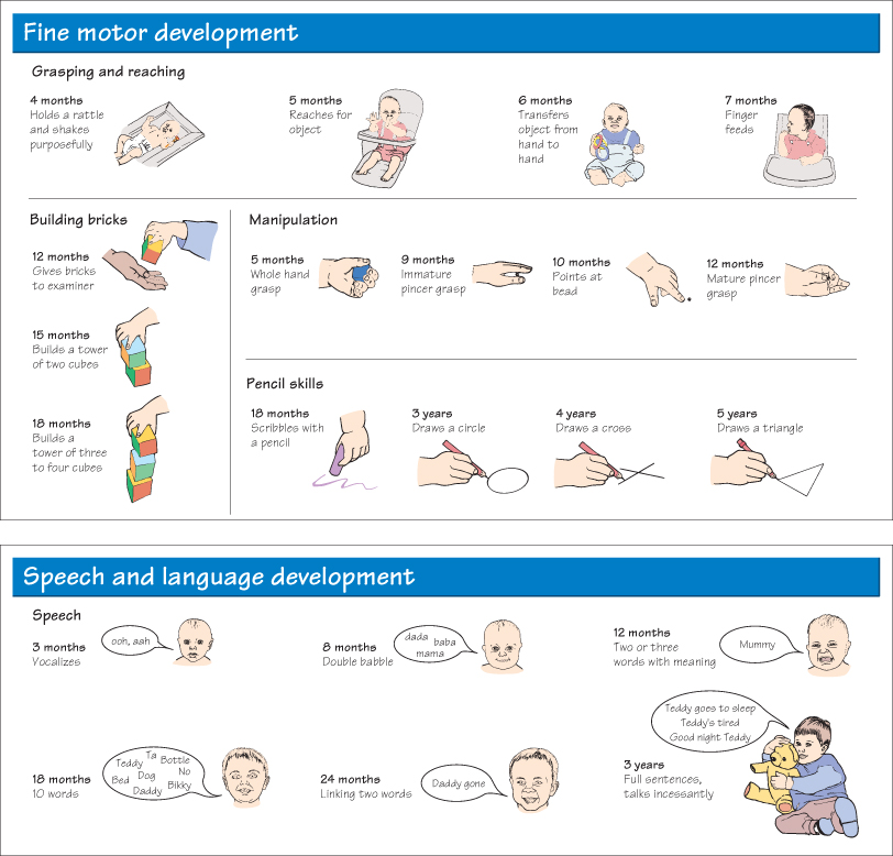 The History and Development of Assessment and