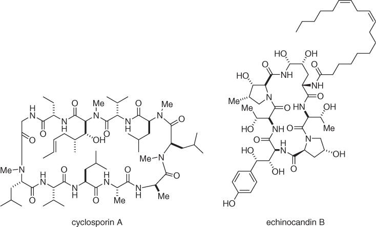 free Controlled Radical Polymerization at and from Solid Surfaces 2016