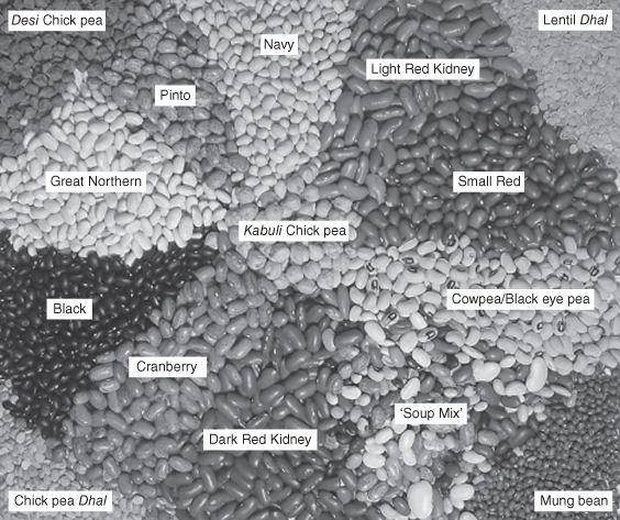 ebook blowing agents and foaming processes