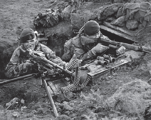 The Falklands 1982