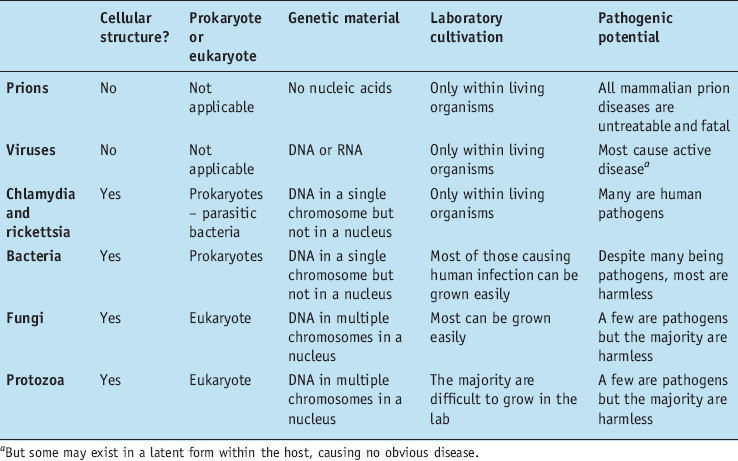 Covering предложение. ДНК bacteria. ДНК bacteria 3 ∙ 10⁵ расшифровка. Infective agent, disease Result, bacteria, fungus, parasite Table. Table of DNA indicators.