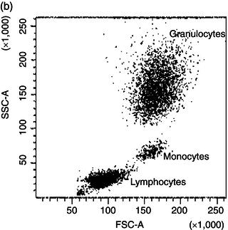 Image Result For Ssc