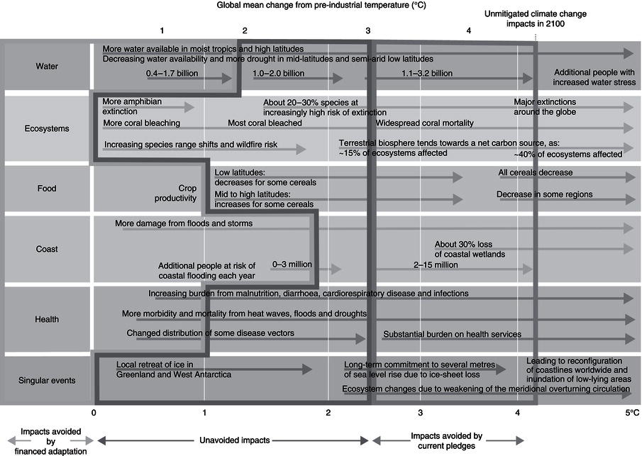 ebook the grey zone of health and illness