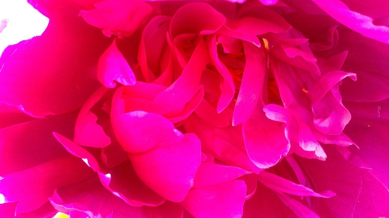 Bild 207772 - Dieses Bild ist aus diesem Werk.