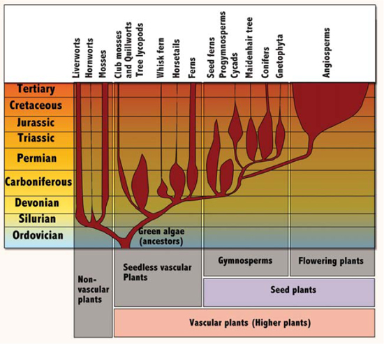 Time axis. Utc datetime. Time axis. Time axis. Time axis.