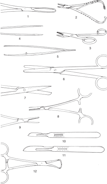 fig1.1.gif