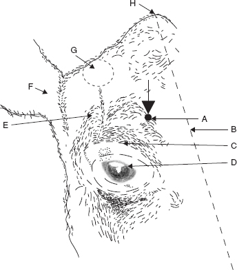 fig1.4.gif