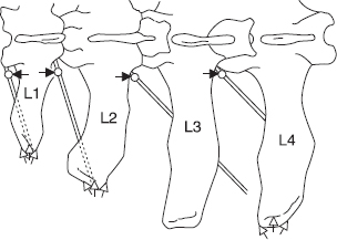 fig1.6.gif