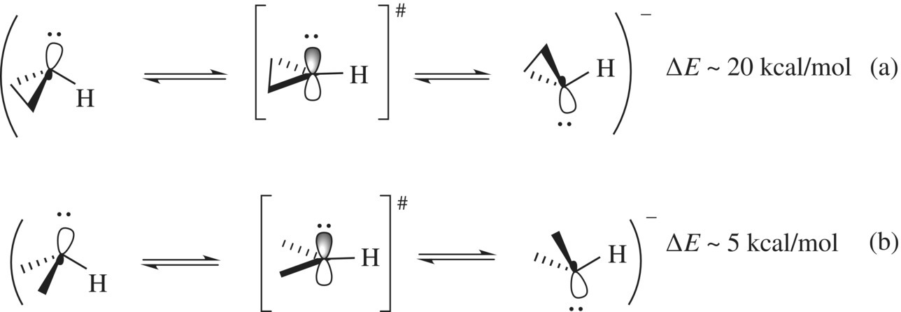 c1-fig-0006