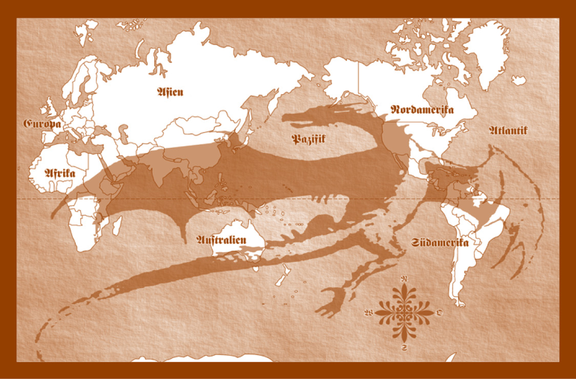 VSN_Heitz_Drachenk.pdf