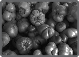 Image211816.tif