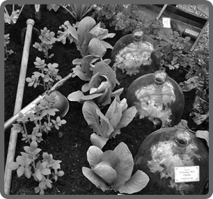 Image211859.tif