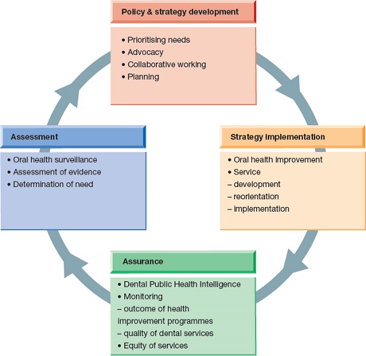 Flow diagram shows each of the steps involved in dental public health practice; policy and strategy development, strategy implementation, assurance and assessment.