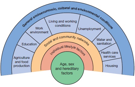Diagram shows different categories influencing health; age, sex, hereditary factors, lifestyle, social and community networks, educational and employment status, state of food, water and accommodation, cultural and environmental conditions.