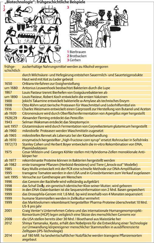 in 1973 stanley cohen and herbert boyer biology essay Forensic biology 1950 college essay examples and free essays 1973 stanley norman cohen and herbert wayne boyer demonstrate that restriction. in 1973 stanley cohen and herbert boyer biology essay Forensic biology 1950 college essay examples and free essays 1973 stanley norman cohen and herbert wayne boyer demonstrate that restriction.