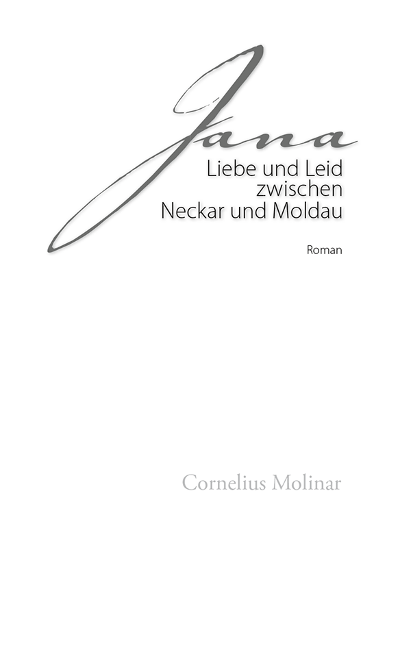 Image - img_03000001.png