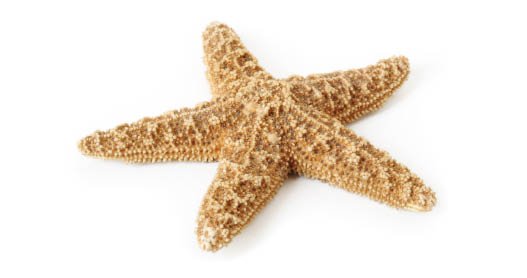 iStock_000011905085XSmall.jpg