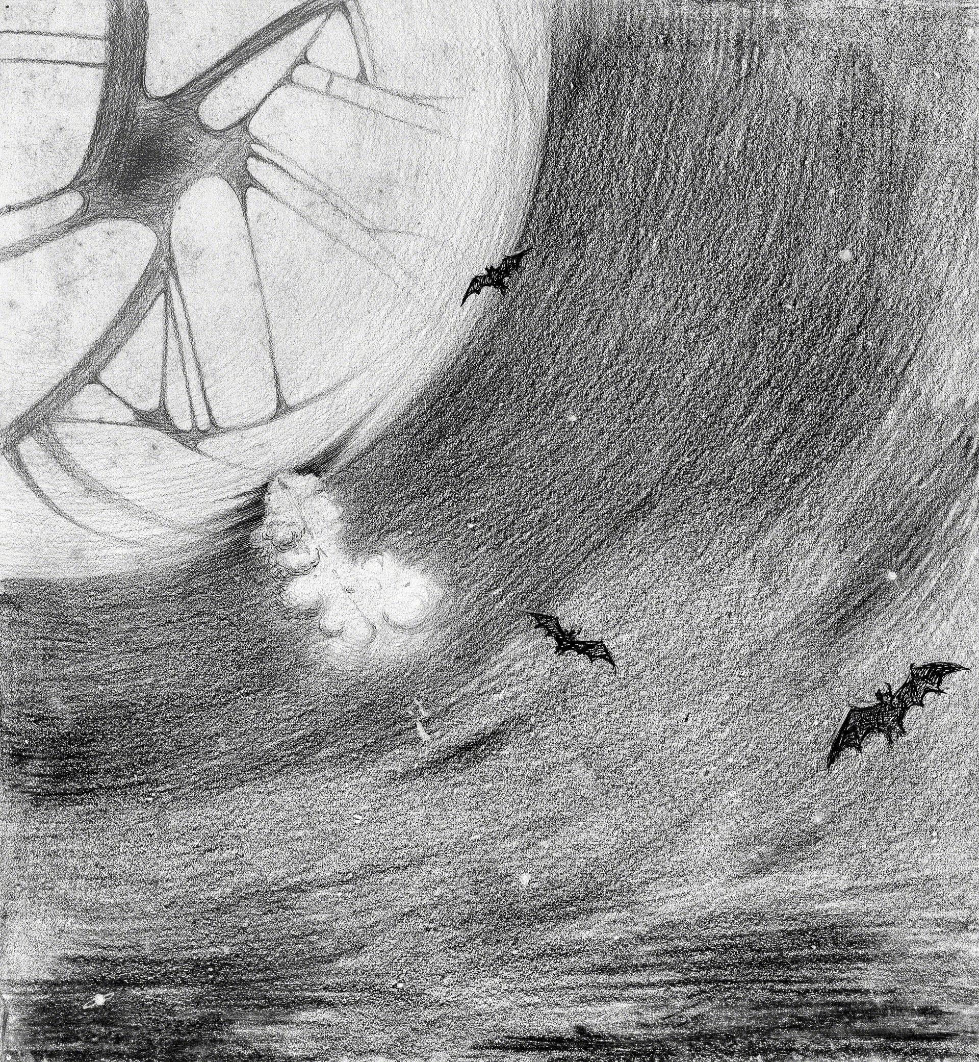 Flug zur Erde Flug zur Erde