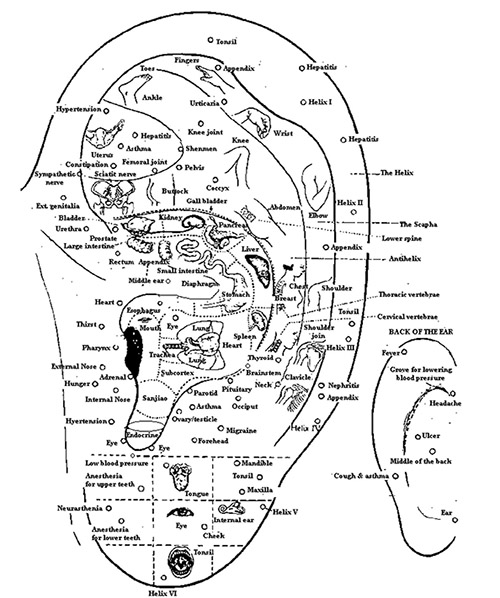health-science-spirit.com, Walter Last