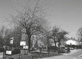 img_42811_01_004_Mazower_Was_du_nicht_u2d4f