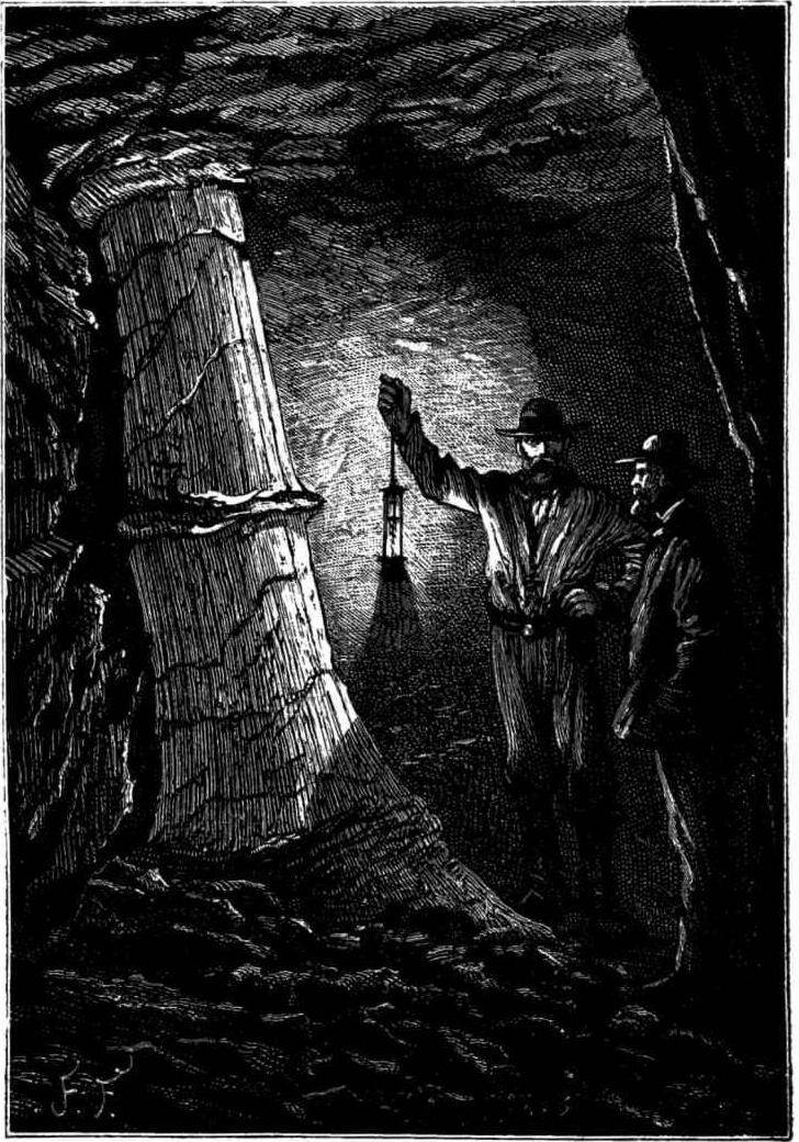 Antediluvianische Baumriesen Antediluvianische Baumriesen