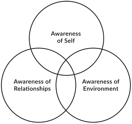 Venn diagram representation of the three levels of awareness (Awareness of Self, Awareness of Relationships, Awareness of Environment).