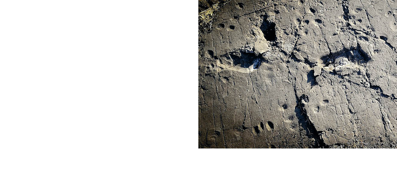 img_17768_01_034_Kagge_vt_u213c