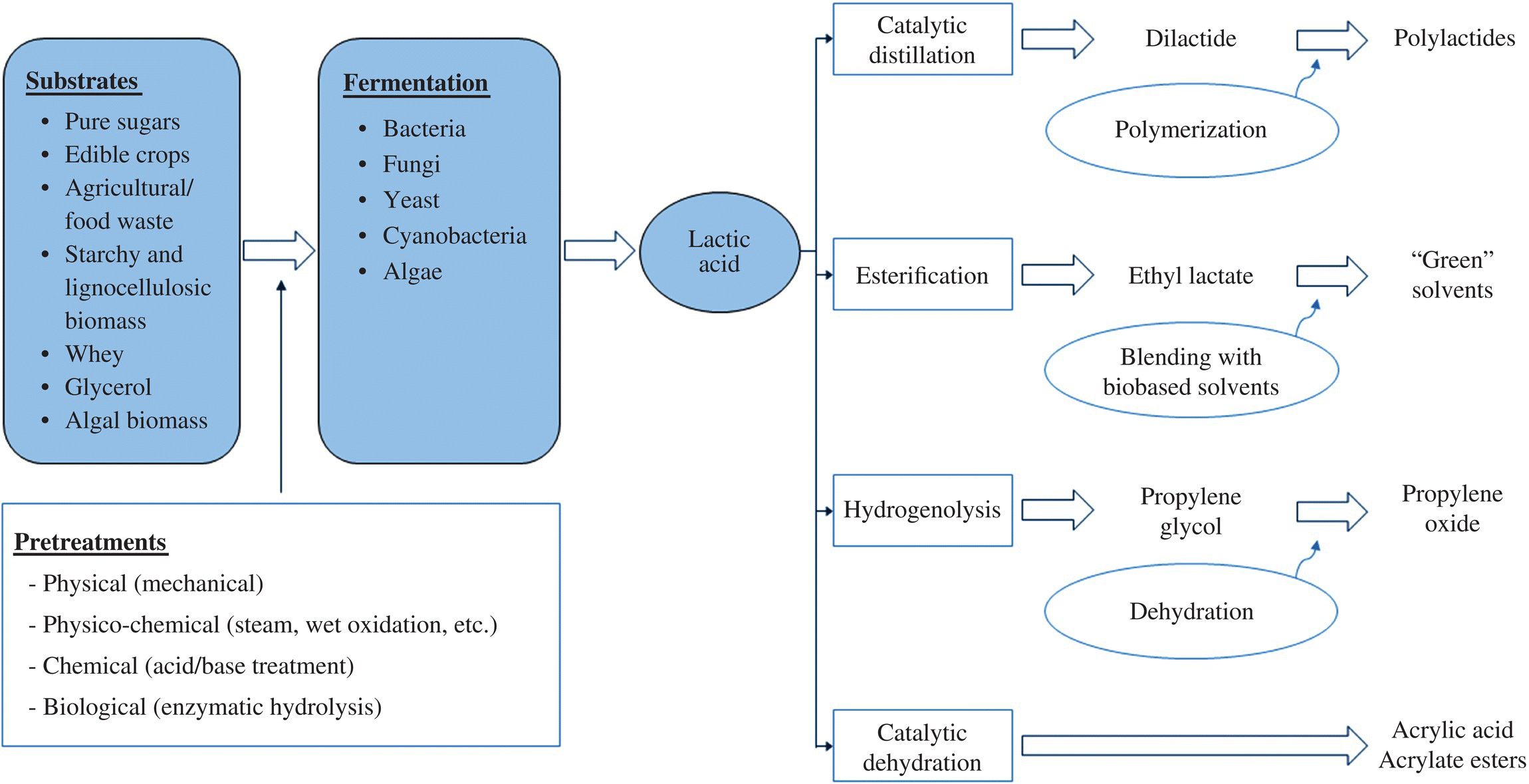 Flow of lactic acid production by microbial fermentation and its derivatives from substrates to fermentation to lactic acid to catalytic distillation, esterification, hydrogenolysis, and catalytic dehydration.
