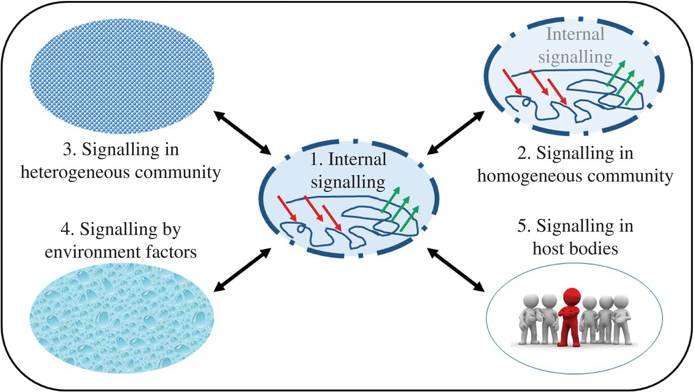 Illustration of microbial sensing classification. Internal signalling (center) is interconnected to signalling in homogenous and heterogeneous communities and host bodies and signalling by environment factors.