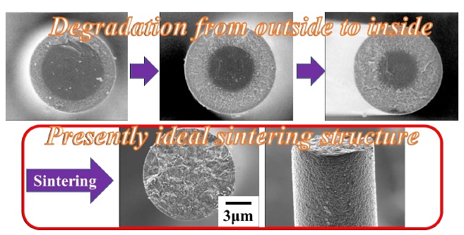 Flow diagram shows degradation proceeded from outside to inside of amorphous Si-Al-C-O fiber, sintering process, and ideal sintering structure.