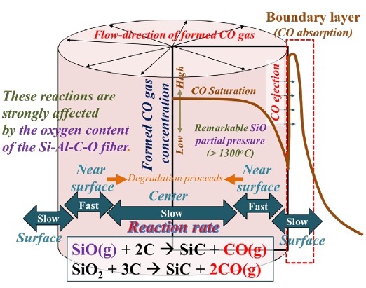 Diagram shows degradation is slow at center, fast at near surface, and slow at surface of fiber. It shows flow-direction of formed CO gas, CO gas absorption through boundary layer, and reactions of formation of CO gas.