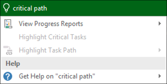 Screenshot displaying the critical path tab to get help to view the progress reports of a task.