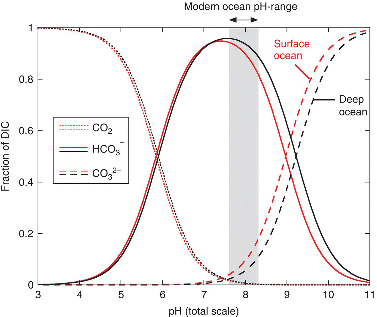 Fraction of DIC vs. pH with a pair of descending dotted curve (CO2) intersected by an ascending dashed curve (CO32–), both overlapped by a bell-shaped curve (HCO3–). The dashed curve is labeled surface and deep ocean.