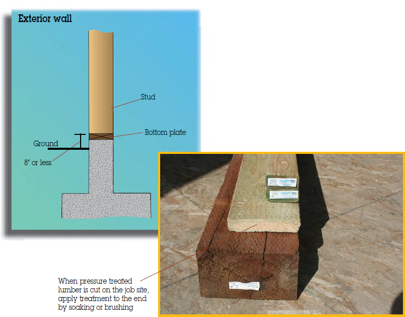 The figure shows a pressure treated lumber which is ready for cutting on the job site and applied soaking or brushing treatment to the end for protection. The figure shows an inverted T shape exterior wall with bottom plate (in the middle) and stud (at the top). The bottom plate is attached with a concrete slab. 