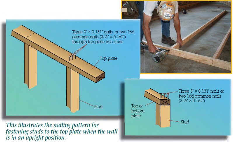 The figure shows the nailing pattern for fastening studs to the top plate when the wall is in an upright position.  A stud fixed with top or bottom plate through three nails with dimension 3” times 0.131” or two 16d common nails (3-1 by 2” times 0.162”). 2. The figure shows the nailing pattern for fastening studs to the top plate when the wall is in an upright position. A stud fixed with top or bottom plate through three nails with dimension 3” times 0.131” or two 16d common nails (3-1 by 2” times 0.162”). 3. The figure shows a lead framer who is fixing nail to the top plate.