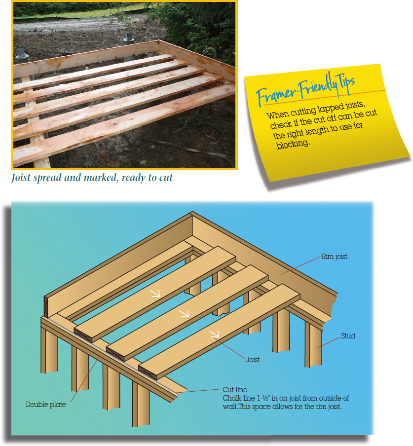 The figure shows a sticky note with the text “Framer-Friendly Tips: When cutting lapped joists, check if the cut off can be cut the right length to use for blocking.” The figure shows five joists placed parallel with markings on each and are ready for rough-cutting of approximately two inches beyond the wall. The figure shows a wooden structure/frame of a building. The structure represents four studs on the left-hand side and five studs on the right-hand side. Four joists are placed on the top (parallel pattern) and are attached with the double plate. The left-hand side of the frame shows a cut line captioned “chalk line 1-1 by 2” in on joist from outside of wall. This space allows for the rim joist.”
