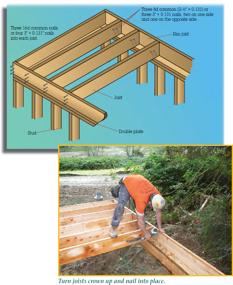 The figure shows a wooden structure/frame of a building. The structure represents four studs on the left-hand side and five studs on the right-hand side. Four   rim joists are placed on the top (parallel pattern) and are attached with the double plate. The left-hand side of the frame shows three 8d common (2-1 by 2” times 0.131) or three 3” times 0.131 nails, two on one side and one on the opposite side. The figure shows a lead framer turning joists crown up and nail into place.